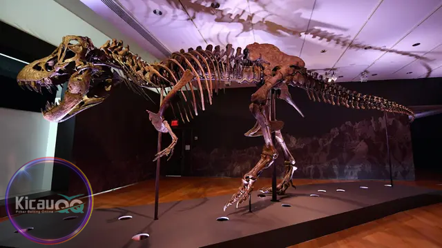 Rekor Lelang Kerangka Dinosaurus TRex Termahal