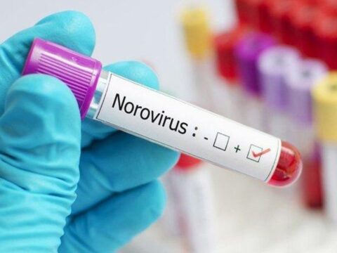 Norovirus Mewabah China, Kenali Gejala dan Penyebarannya